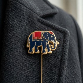 Lapel Pin